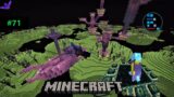 MINECRAFT | RON WENT TO END CITY TO GET ELYTRA FOR HIS FRIENDS